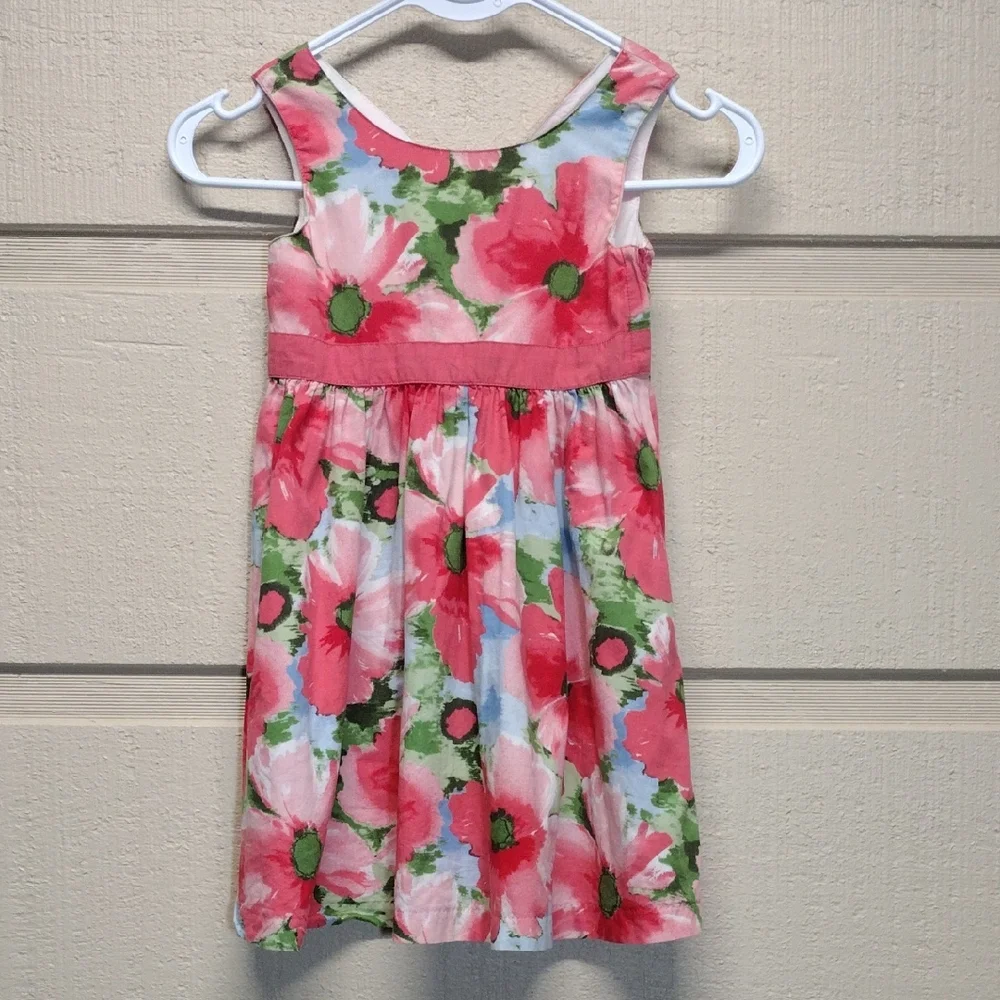 Gymboree Pink and Green Floral Kids Dress